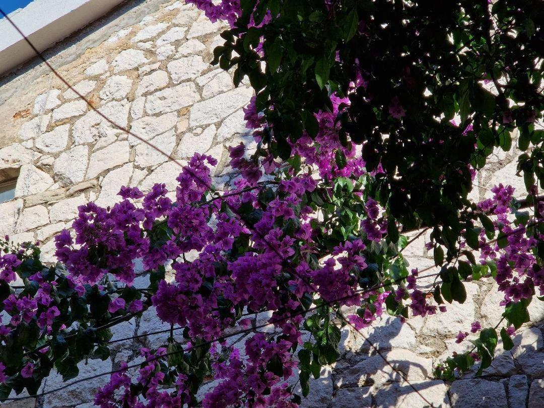 Old Town & Ela Place Split Exteriér fotografie